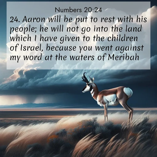 BasicEnglish Numbers  ; image nature: image with the bible verse :Aaron will be put to rest with his people; he will not go into the land which I have given to the children of Israel, because you went against my word at the waters of Meribah. ; Admire our autumnal collection of Bible verse images accompanied by photos of paths lined with red and yellow leaves, fiery forests, and calm rivers. These images inspire reflection and serenity. Share verses like KJV Numbers 20:24. Current verse is overlayed with the thematic nature scene : A pronghorn pauses on wind-swept plains. Storm clouds build dark towers above. ; 20:24