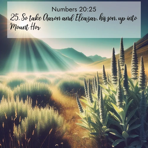 BasicEnglish Numbers  ; image nature: image with the bible verse :So take Aaron and Eleazar, his son, up into Mount Hor; ; Explore a collection of Bible verses paired with springtime scenes, featuring blooming flowers, lush meadows, and trees in full bloom. These images symbolize divine renewal and hope. Download inspiring verses like KJV Numbers 20:25. Current verse is overlayed with the thematic nature scene : Summer heat brings out the scent of sage in mountain meadows. ; 20:25