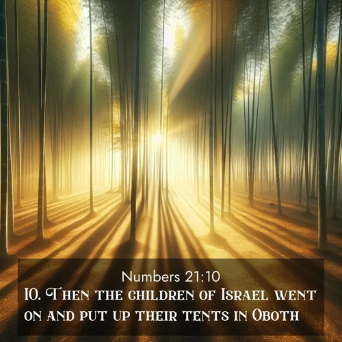 BBE Numbers 21:10 overlaying nature image scene: Morning mist parts to reveal a pristine bamboo grove. Golden light filters through the stems, casting striped shadows.;10. Then the children of Israel went on and put up their tents in Oboth.