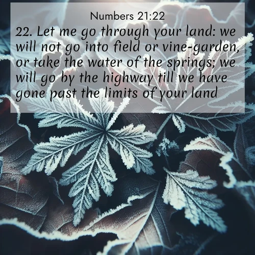 BBE Numbers 21:22 overlaying nature image scene: Winter frost creates delicate patterns on fallen leaves.;22. Let me go through your land: we will not go into field or vine-garden, or take the water of the springs; we will go by the highway till we have gone past the limits of your land.