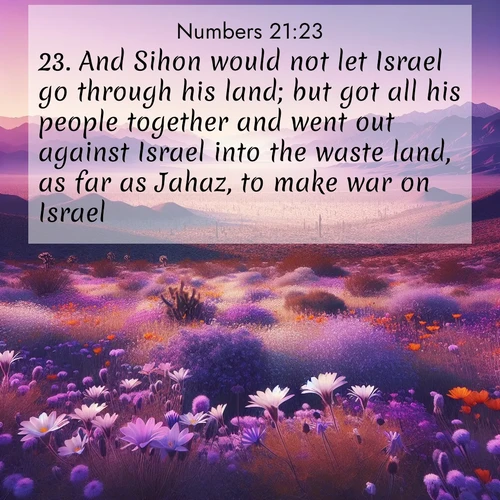 BBE Numbers 21:23 overlaying nature image scene: Desert wildflowers carpet Death Valley after winter rains. Mountains fade to purple on the horizon.;23. And Sihon would not let Israel go through his land; but got all his people together and went out against Israel into the waste land, as far as Jahaz, to make war on Israel.