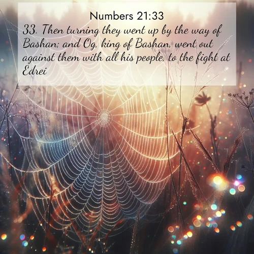 BBE Numbers 21:33 overlaying nature image scene: Morning fog reveals spider web galaxies. Dew drops catch rainbow light.;33. Then turning they went up by the way of Bashan; and Og, king of Bashan, went out against them with all his people, to the fight at Edrei.