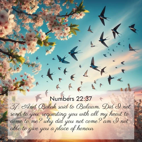 BasicEnglish Numbers  ; image nature: image with the bible verse :And Balak said to Balaam, Did I not send to you, requesting you with all my heart to come to me? why did you not come? am I not able to give you a place of honour? ; Browse a gallery of Bible verses paired with summer scenes, such as golden wheat fields, bright skies, and sunny beaches. These images convey the joy and warmth of God&#039;s creation. Download and share verses like KJV Numbers 22:37. Current verse is overlayed with the thematic nature scene : Spring migration fills the sky with countless swallows. ; 22:37