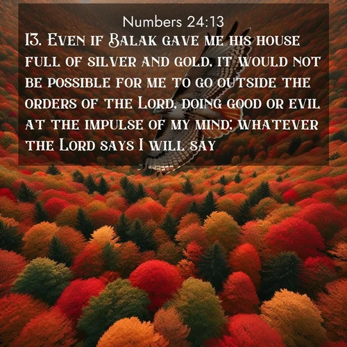 BBE Numbers 24:13 overlaying nature image scene: A red-tailed hawk circles above autumn woods. Leaves below form a mosaic of fire.;13. Even if Balak gave me his house full of silver and gold, it would not be possible for me to go outside the orders of the Lord, doing good or evil at the impulse of my mind; whatever the Lord says I will say?