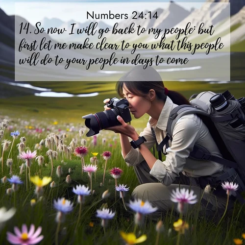 BBE Numbers 24:14 overlaying nature image scene: A naturalist photographs rare blooms. Alpine winds toss wildflower meadows.;14. So now I will go back to my people: but first let me make clear to you what this people will do to your people in days to come.