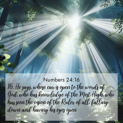 BBE Numbers 24:16 overlaying nature image scene: Summer light filters through forest canopy like stained glass.;16. He says, whose ear is open to the words of God, who has knowledge of the Most High, who has seen the vision of the Ruler of all, falling down and having his eyes open: