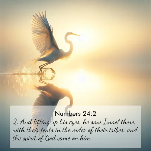 BBE 4 24:2