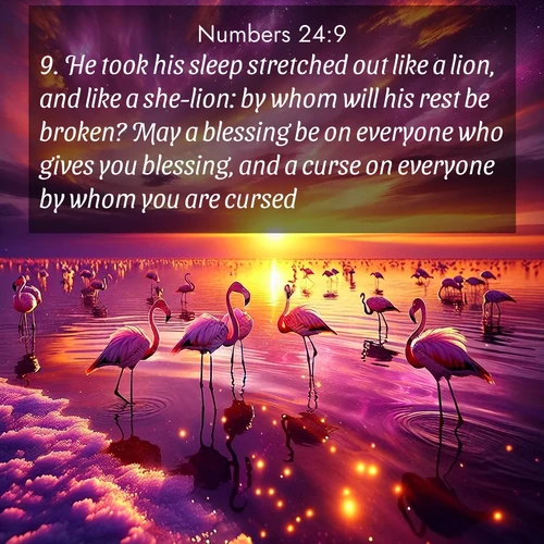 BBE Numbers 24:9 overlaying nature image scene: Wild flamingos wade through salt lake shallows. Sunset turns the water to liquid gold.;9. He took his sleep stretched out like a lion, and like a she-lion: by whom will his rest be broken? May a blessing be on everyone who gives you blessing, and a curse on everyone by whom you are cursed.