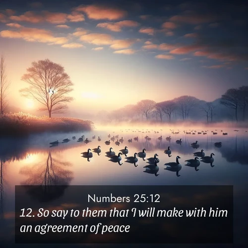 BBE Numbers 25:12 overlaying nature image scene: Wild geese rest on still waters. Dawn mist rises like dreams.;12. So say to them that I will make with him an agreement of peace: