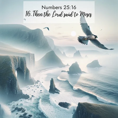 BBE Numbers 25:16 overlaying nature image scene: A peregrine falcon rides thermal currents above coastal cliffs. Waves crash endlessly against the rocks below.;16. Then the Lord said to Moses,