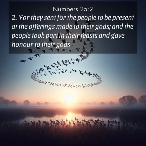 BBE 4 25:2