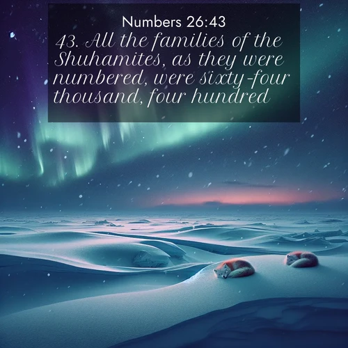 BBE Numbers 26:43 overlaying nature image scene: Northern lights dance across the frozen tundra in ribbons of green and purple. Snow falls silently on sleeping arctic foxes.;43. All the families of the Shuhamites, as they were numbered, were sixty-four thousand, four hundred.
