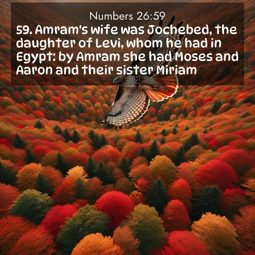 BBE Numbers 26:59 overlaying nature image scene: A red-tailed hawk circles above autumn woods. Leaves below form a mosaic of fire.;59. Amram's wife was Jochebed, the daughter of Levi, whom he had in Egypt: by Amram she had Moses and Aaron and their sister Miriam.