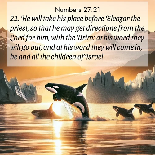 BasicEnglish Numbers  ; image nature: image with the bible verse :He will take his place before Eleazar the priest, so that he may get directions from the Lord for him, with the Urim: at his word they will go out, and at his word they will come in, he and all the children of Israel. ; Admire Bible images evoking autumn, with warm colors of fallen leaves, harvested fields, and tranquil woods. These inspiring landscapes reflect the transition and beauty of God&#039;s creation. Download verses like KJV Numbers 27:21. Current verse is overlayed with the thematic nature scene : Wild orcas breach in sunset-painted waters. Their splashes echo off glacier walls. ; 27:21