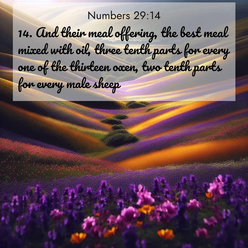 BasicEnglish Numbers  ; image nature: image with the bible verse :And their meal offering, the best meal mixed with oil, three tenth parts for every one of the thirteen oxen, two tenth parts for every male sheep, ; Discover tranquil Bible verse images enhanced with natural scenery like rippling brooks, snow-covered fields, and sunlit beaches. These free images are perfect for wallpapers or spiritual reflection. Share KJV Numbers 29:14. Current verse is overlayed with the thematic nature scene : Spring wildflowers carpet rolling hills in purple and gold. ; 29:14