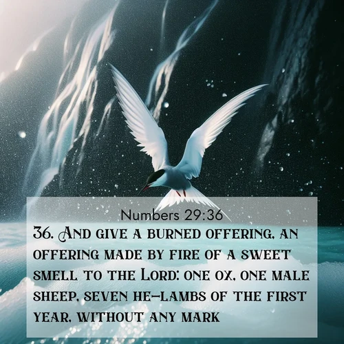BasicEnglish Numbers  ; image nature: image with the bible verse :And give a burned offering, an offering made by fire of a sweet smell to the Lord: one ox, one male sheep, seven he-lambs of the first year, without any mark: ; Explore beautiful Bible verse images paired with serene natural settings, such as calm seas, snowy paths, and verdant hills. Each image is free to download for your spiritual inspiration. Share KJV Numbers 29:36. Current verse is overlayed with the thematic nature scene : Arctic terns dive through sea spray above turquoise glacial meltwater. Their white wings flash silver against obsidian cliffs. ; 29:36