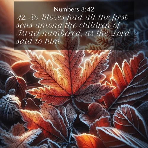 BBE Numbers 3:42 overlaying nature image scene: Autumn frost rims fallen leaves with crystal.;42. So Moses had all the first sons among the children of Israel numbered, as the Lord said to him.