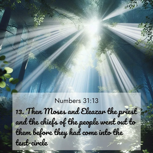 BasicEnglish Numbers  ; image nature: image with the bible verse :Then Moses and Eleazar the priest and the chiefs of the people went out to them before they had come into the tent-circle. ; Discover tranquil Bible verse images enhanced with natural scenery like rippling brooks, snow-covered fields, and sunlit beaches. These free images are perfect for wallpapers or spiritual reflection. Share KJV Numbers 31:13. Current verse is overlayed with the thematic nature scene : Summer light filters through forest canopy like stained glass. ; 31:13