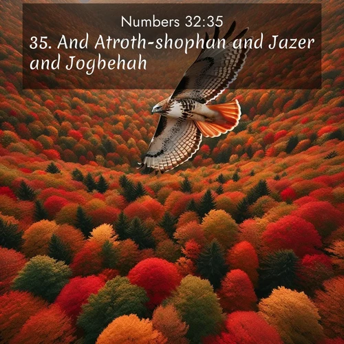 BasicEnglish Numbers  ; image nature: image with the bible verse :And Atroth-shophan and Jazer and Jogbehah; ; Browse a large collection of Bible verse images with photos showcasing the splendor of nature. Scenes of peaceful rivers, verdant valleys, and radiant skies enhance the inspiring verses. Each image reflects the serenity and joy of God&#039;s creation, with elegant text fonts. Download and share verses such as KJV Numbers 32:35. Current verse is overlayed with the thematic nature scene : A red-tailed hawk circles above autumn woods. Leaves below form a mosaic of fire. ; 32:35