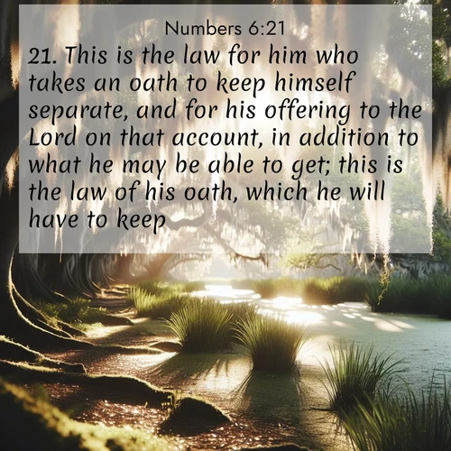 BasicEnglish Numbers  ; image nature: image with the bible verse :This is the law for him who takes an oath to keep himself separate, and for his offering to the Lord on that account, in addition to what he may be able to get; this is the law of his oath, which he will have to keep. ; Discover Bible verse images capturing the warmth of summer, with beach landscapes, sunlit fields, and clear skies. These bright scenes reflect divine joy. Share verses like KJV Numbers 6:21. Current verse is overlayed with the thematic nature scene : Summer afternoon light filters through Spanish moss in a bayou. ; 6:21