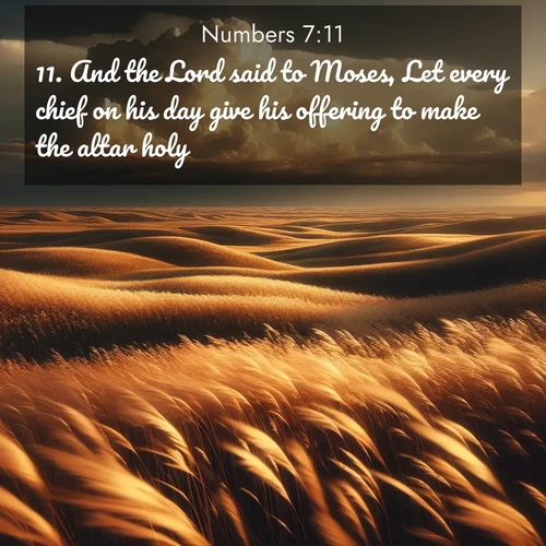 BBE Numbers 7:11 overlaying nature image scene: Prairie grass waves like a golden ocean. Storm clouds build towers on the horizon.;11. And the Lord said to Moses, Let every chief on his day give his offering to make the altar holy.