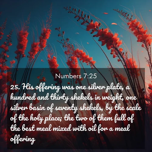 BBE Numbers 7:25 overlaying nature image scene: Desert ocotillo flames against blue sky. Wind sings through its scarlet blooms.;25. His offering was one silver plate, a hundred and thirty shekels in weight, one silver basin of seventy shekels, by the scale of the holy place; the two of them full of the best meal mixed with oil for a meal offering;
