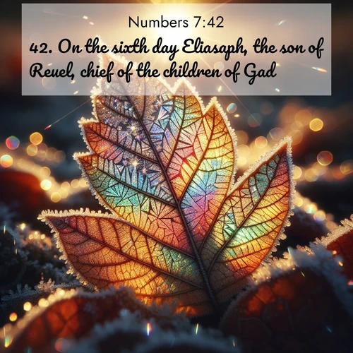 BBE Numbers 7:42 overlaying nature image scene: Frost crystals form intricate patterns on a fallen leaf. Morning sun transforms them into rainbow prisms.;42. On the sixth day Eliasaph, the son of Reuel, chief of the children of Gad: