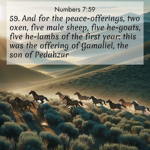 BBE Numbers 7:59 overlaying nature image scene: Wild mustangs gallop across sage-covered hills in the morning light.;59. And for the peace-offerings, two oxen, five male sheep, five he-goats, five he-lambs of the first year: this was the offering of Gamaliel, the son of Pedahzur.