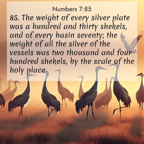 BBE Numbers 7:85 overlaying nature image scene: Sandhill cranes dance in morning mist. Their calls echo across the marsh.;85. The weight of every silver plate was a hundred and thirty shekels, and of every basin seventy; the weight of all the silver of the vessels was two thousand and four hundred shekels, by the scale of the holy place;
