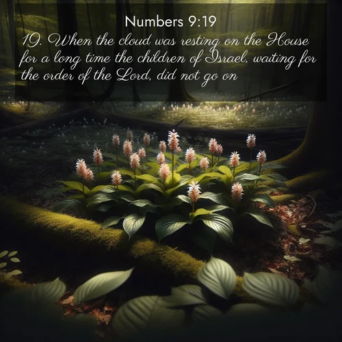 BBE Numbers 9:19 overlaying nature image scene: Wild ginger blooms hidden in forest shadows. Filtered sunlight reveals their secret beauty.;19. When the cloud was resting on the House for a long time the children of Israel, waiting for the order of the Lord, did not go on.