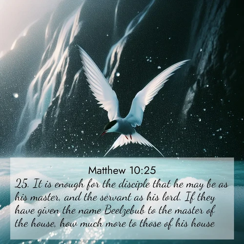 BasicEnglish Gospel of Matthew  ; image nature: image with the bible verse :It is enough for the disciple that he may be as his master, and the servant as his lord. If they have given the name Beelzebub to the master of the house, how much more to those of his house! ; Browse a large collection of Bible verse images with photos showcasing the splendor of nature. Scenes of peaceful rivers, verdant valleys, and radiant skies enhance the inspiring verses. Each image reflects the serenity and joy of God&#039;s creation, with elegant text fonts. Download and share verses such as KJV Gospel of Matthew 10:25. Current verse is overlayed with the thematic nature scene : Arctic terns dive through sea spray above turquoise glacial meltwater. Their white wings flash silver against obsidian cliffs. ; 10:25