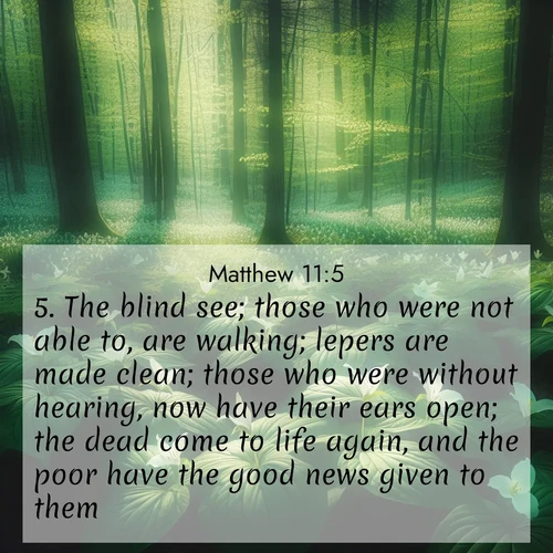 BBE Gospel of Matthew 11:5 overlaying nature image scene: Wild trillium dots the forest floor. Green light filters through spring leaves.;5. The blind see; those who were not able to, are walking; lepers are made clean; those who were without hearing, now have their ears open; the dead come to life again, and the poor have the good news given to them.
