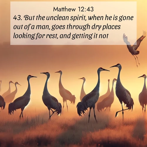 BBE Gospel of Matthew 12:43 overlaying nature image scene: Sandhill cranes dance in morning mist. Their calls echo across the marsh.;43. But the unclean spirit, when he is gone out of a man, goes through dry places looking for rest, and getting it not.
