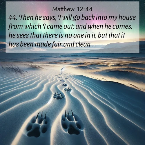BBE Gospel of Matthew 12:44 overlaying nature image scene: Arctic fox tracks cross windswept tundra. Northern lights pulse overhead in cosmic rhythm.;44. Then he says, I will go back into my house from which I came out; and when he comes, he sees that there is no one in it, but that it has been made fair and clean.
