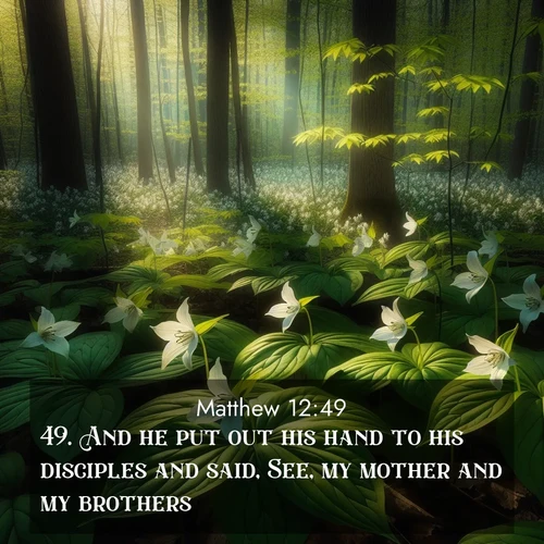 BBE Gospel of Matthew 12:49 overlaying nature image scene: Wild trillium carpets the forest floor. Sunlight filters green through new spring leaves.;49. And he put out his hand to his disciples and said, See, my mother and my brothers!

