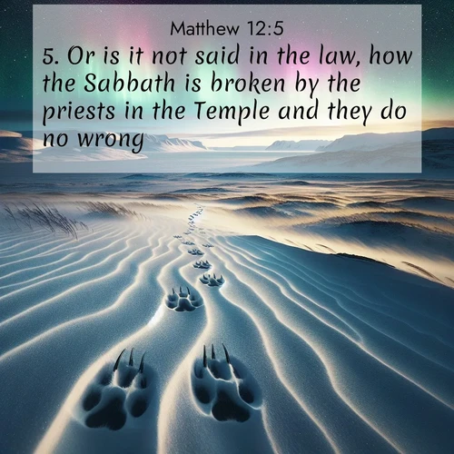 BBE Gospel of Matthew 12:5 overlaying nature image scene: Arctic fox tracks cross windswept tundra. Northern lights pulse overhead in cosmic rhythm.;5. Or is it not said in the law, how the Sabbath is broken by the priests in the Temple and they do no wrong?
