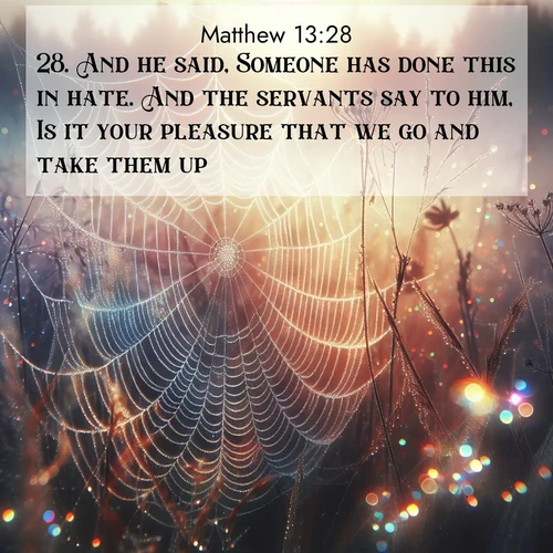 BBE Gospel of Matthew 13:28 overlaying nature image scene: Morning fog reveals spider web galaxies. Dew drops catch rainbow light.;28. And he said, Someone has done this in hate. And the servants say to him, Is it your pleasure that we go and take them up?