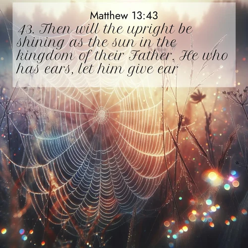 BBE Gospel of Matthew 13:43 overlaying nature image scene: Morning fog reveals spider web galaxies. Dew drops catch rainbow light.;43. Then will the upright be shining as the sun in the kingdom of their Father. He who has ears, let him give ear.