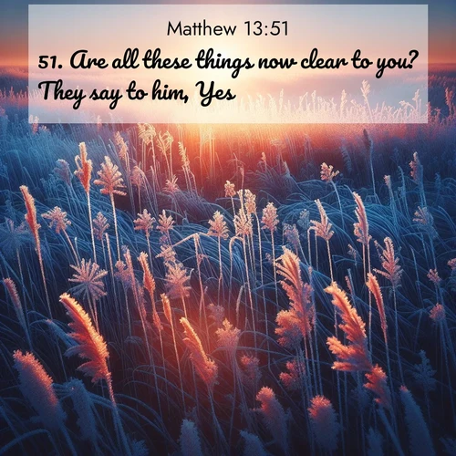 BBE Gospel of Matthew 13:51 overlaying nature image scene: Winter sunrise illuminates frost-covered prairie grass.;51. Are all these things now clear to you? They say to him, Yes.