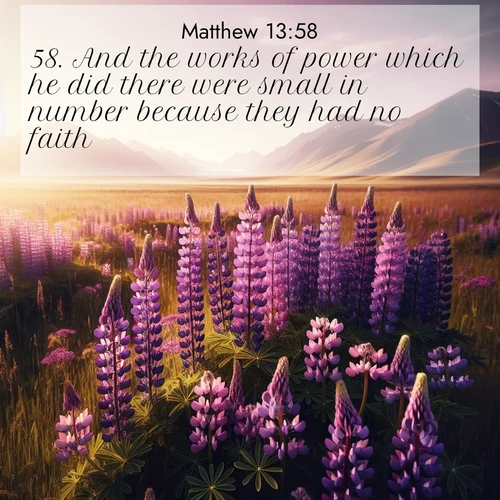 BBE Gospel of Matthew 13:58 overlaying nature image scene: Wild lupines paint purple meadows. Snow lingers on distant peaks.;58. And the works of power which he did there were small in number because they had no faith.