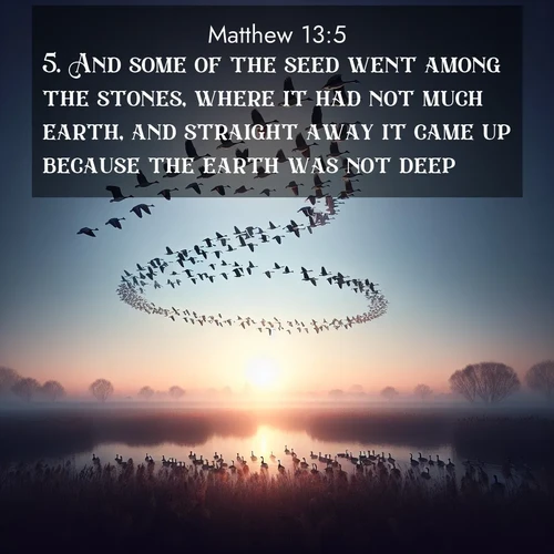 BBE Gospel of Matthew 13:5 overlaying nature image scene: Wild geese arrow through dawn sky. Their calls wake sleeping marshes.;5. And some of the seed went among the stones, where it had not much earth, and straight away it came up because the earth was not deep: