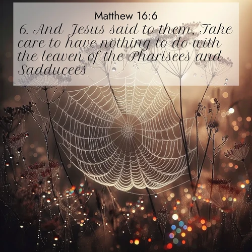 BBE Gospel of Matthew 16:6 overlaying nature image scene: Morning fog reveals spider galaxies. Dew drops capture rainbow light.;6. And Jesus said to them, Take care to have nothing to do with the leaven of the Pharisees and Sadducees.
