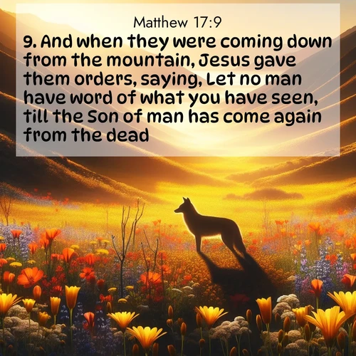 BasicEnglish Gospel of Matthew  ; image nature: image with the bible verse :And when they were coming down from the mountain, Jesus gave them orders, saying, Let no man have word of what you have seen, till the Son of man has come again from the dead. ; Browse an inspiring gallery of Bible verse images with nature photos, such as blooming gardens, golden deserts, and shaded forests. The chosen images capture the peaceful and joyful essence of God&#039;s creation, with vibrant colors and harmonious fonts. Share verses like KJV Gospel of Matthew 17:9. Current verse is overlayed with the thematic nature scene : Spring wildflowers carpet Death Valley in gold. A coyote&#039;s silhouette melts into the blooms. ; 17:9