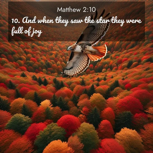 BasicEnglish Gospel of Matthew  ; image nature: image with the bible verse :And when they saw the star they were full of joy. ; Explore a collection of Bible verses paired with springtime scenes, featuring blooming flowers, lush meadows, and trees in full bloom. These images symbolize divine renewal and hope. Download inspiring verses like KJV Gospel of Matthew 2:10. Current verse is overlayed with the thematic nature scene : A red-tailed hawk circles above autumn woods. Leaves below form a mosaic of fire. ; 2:10