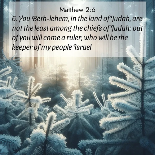 BBE Gospel of Matthew 2:6 overlaying nature image scene: Morning frost rimes every pine needle. Weak winter sun struggles to pierce the forest.;6. You Beth-lehem, in the land of Judah, are not the least among the chiefs of Judah: out of you will come a ruler, who will be the keeper of my people Israel.