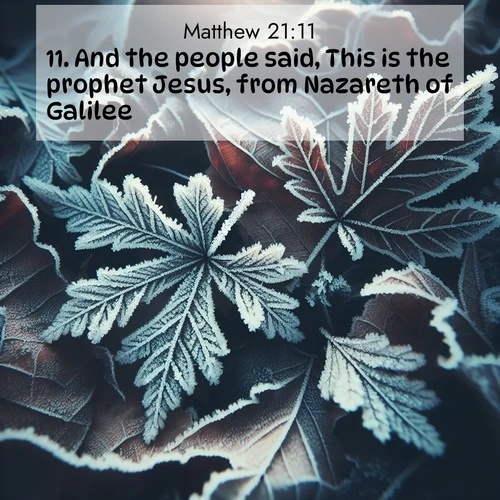 BBE Gospel of Matthew 21:11 overlaying nature image scene: Winter frost creates delicate patterns on fallen leaves.;11. And the people said, This is the prophet Jesus, from Nazareth of Galilee.