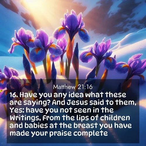 BBE Gospel of Matthew 21:16 overlaying nature image scene: Wild iris blooms pierce through melting snow. Alpine sunlight ignites their petals.;16. Have you any idea what these are saying? And Jesus said to them, Yes: have you not seen in the Writings, From the lips of children and babies at the breast you have made your praise complete?
