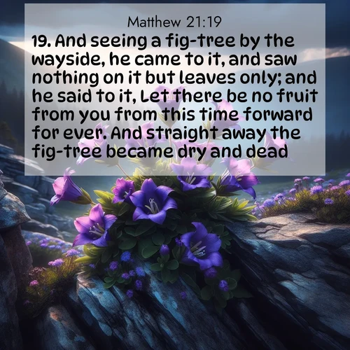 BBE Gospel of Matthew 21:19 overlaying nature image scene: Wild gentians bloom in rocky cracks. Summer storms gather above treeline.;19. And seeing a fig-tree by the wayside, he came to it, and saw nothing on it but leaves only; and he said to it, Let there be no fruit from you from this time forward for ever. And straight away the fig-tree became dry and dead.