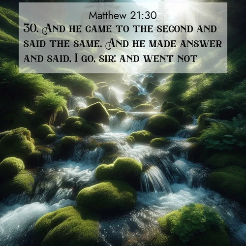 BBE Gospel of Matthew 21:30 overlaying nature image scene: Mountain streams tumble through moss. Sunlight creates crystal prisms.;30. And he came to the second and said the same. And he made answer and said, I go, sir: and went not.