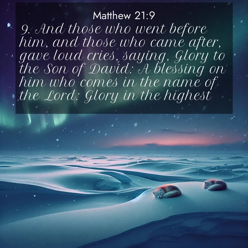 BBE Gospel of Matthew 21:9 overlaying nature image scene: Northern lights dance across the frozen tundra in ribbons of green and purple. Snow falls silently on sleeping arctic foxes.;9. And those who went before him, and those who came after, gave loud cries, saying, Glory to the Son of David: A blessing on him who comes in the name of the Lord: Glory in the highest.